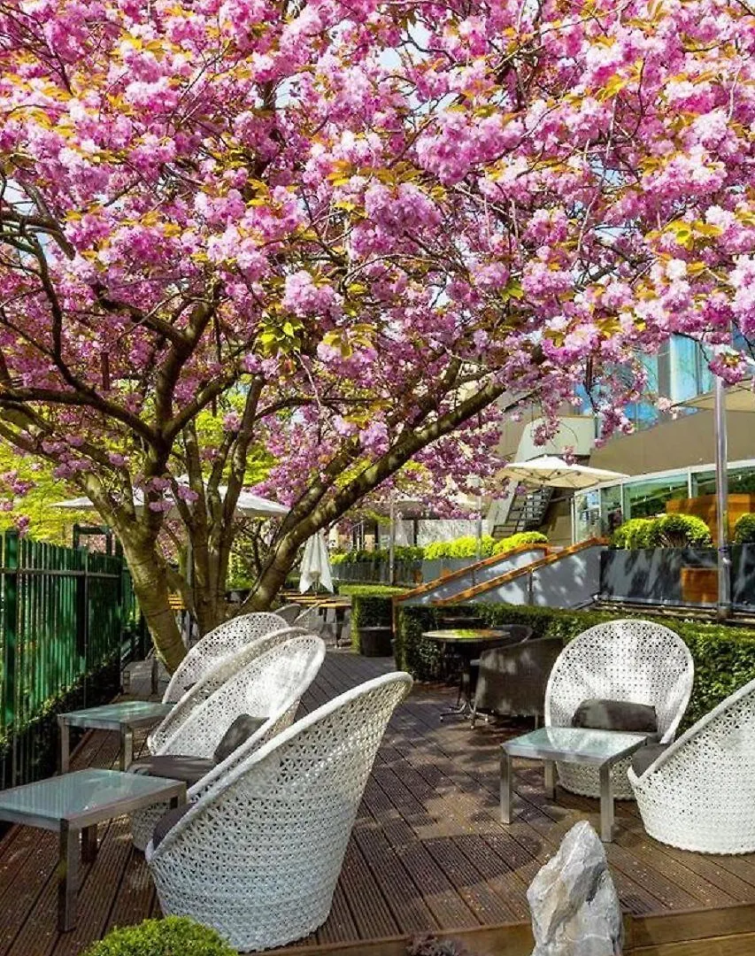 Hotel Okura Amsterdam - The Leading Hotels Of The World 5*,